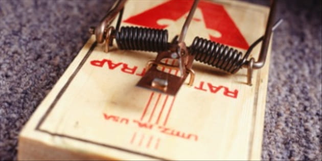 Exterminating the Pests in Your Life
